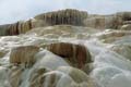 Yellowstone NP - Mammoth Hot Springs 012